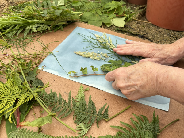 Cyanotype Printing Workshop with Judith Tutin