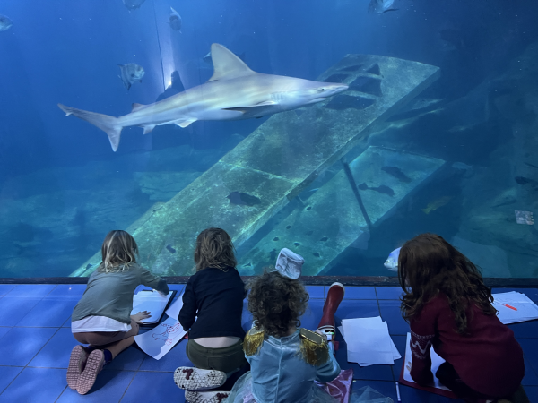 Home Educator Deep Dive Workshop