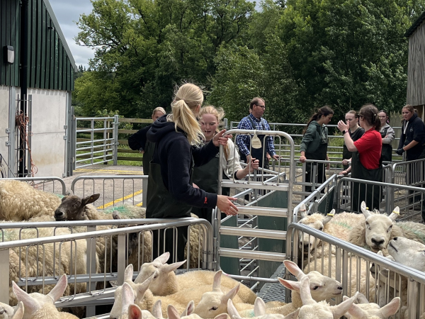 Women in Agriculture - Rooted in Resilience