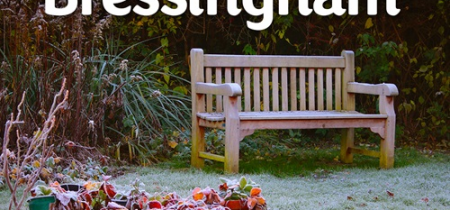 Bressingham Winter Garden Tour