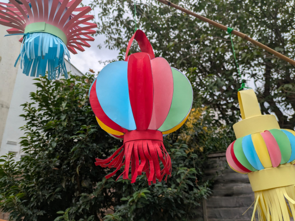 3 colourful paper lanterns hang on a branch in a back garden.