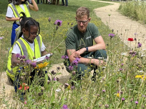 Nigel Dunnett and James Hitchmough: The Dynamic Landscape