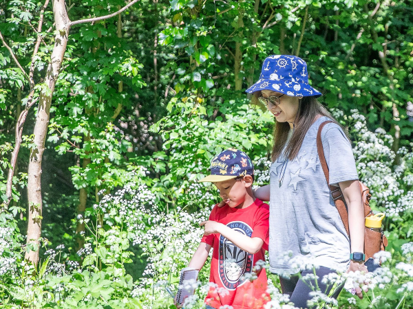 Walk and Talk: Summer Holiday Wellbeing Wander for Families