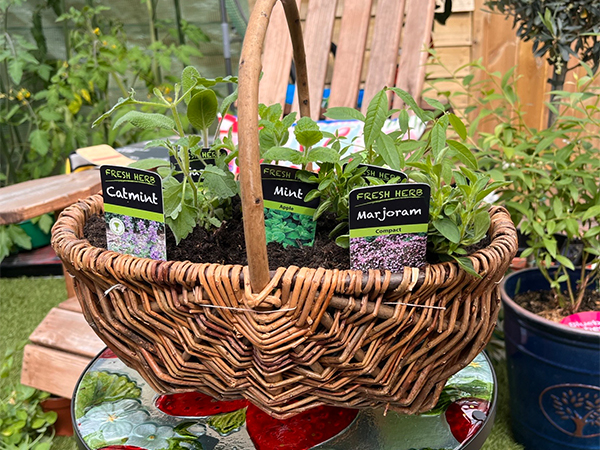 Herb Basket Workshop