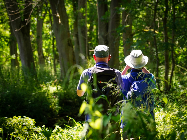 Guided Parkland Walks in Haddon Medieval Park