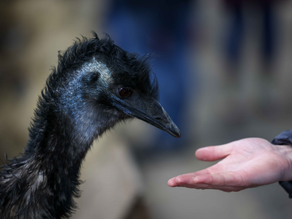 Farm tots - World Book Day! 5th March