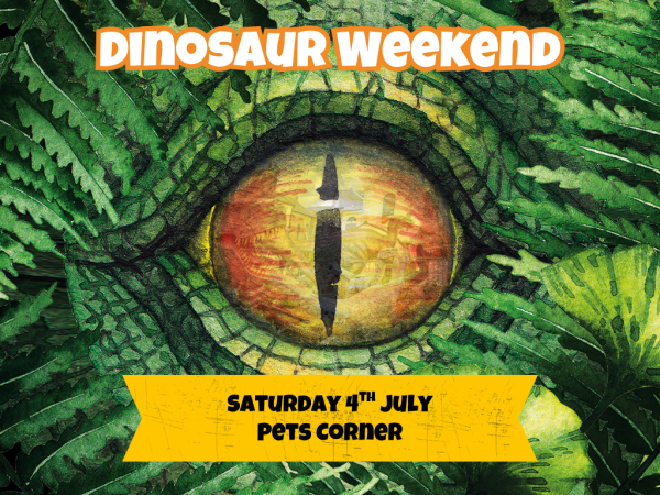 Pets Corner Animal Encounter: Sat 4th July Dinosaur Weekend