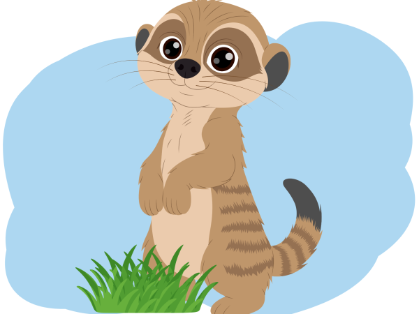 Meerkat Encounter