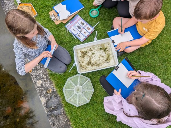 Pond Dipping with Kentish Stour Countryside Partnership - May Half Term 25