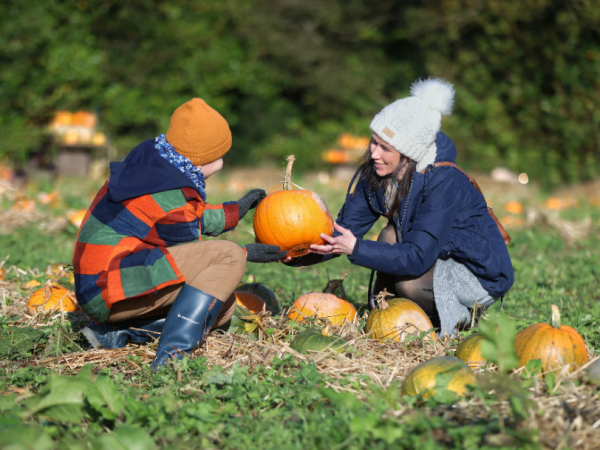 Halloween Train Rides, Tricks, Treats & Pumpkin Patch Fun