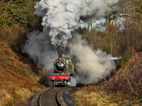 Winter Warmer Specials (Observation Saloon)