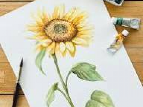 Sunflower Watercolour Workshop with Rhian Owen