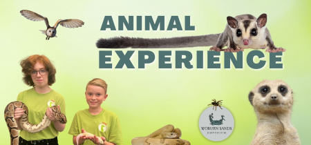 Animal Experience