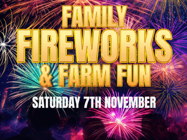 Family Fireworks