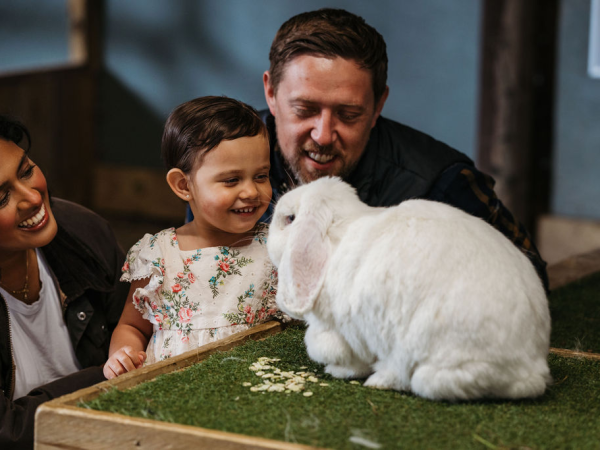 Farm Admission (September 1st Onwards)