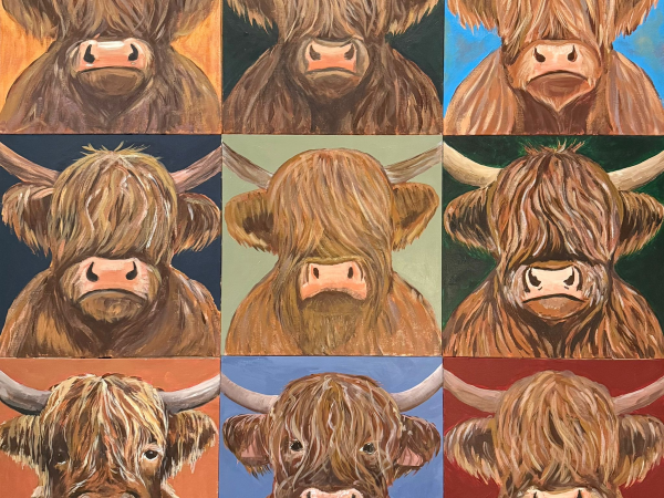 Highland Cow Acrylic Workshop