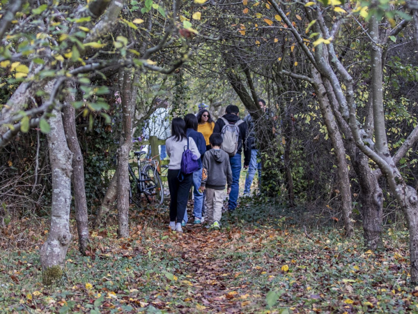 Walk and Talk: Summer Holiday Wellbeing Wander
