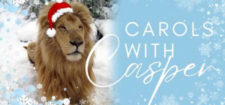 Carols with Casper