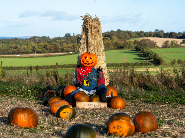Pumpkin Festival - General Admission