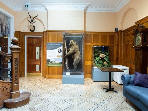 Sherlock Holmes and the Bear Poaching Case!