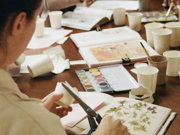 Branch Out | Creating Your Gardening Club with The Gardening Drawing Club