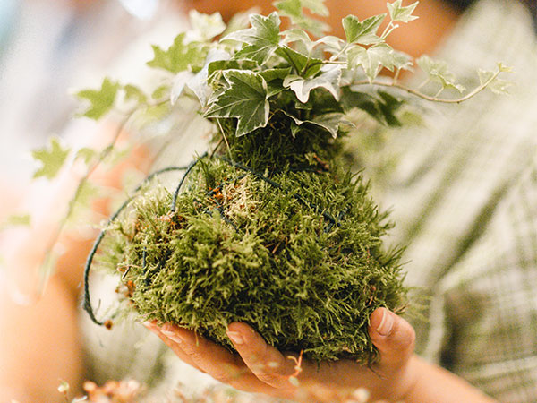 Kokedama 2025