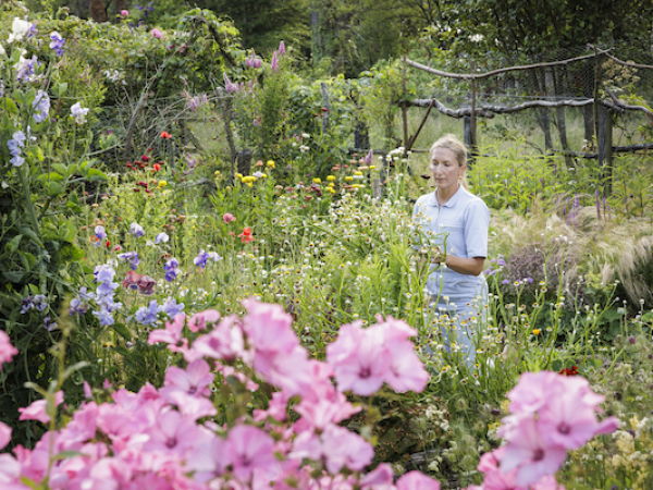 The Creative Gardener: Stephanie Mahon in Conversation with Bex Partridge, Declan Buckley, and Joshua Sparkes