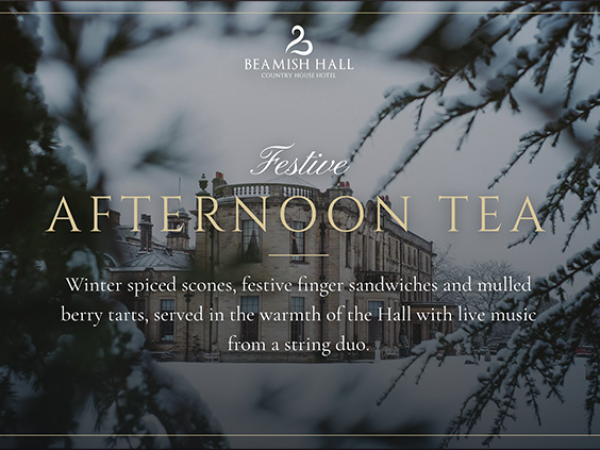 Festive Afternoon Tea with Strings: Sunday 13th & 20th Dec
