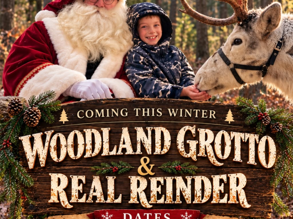 Father Christmas & his Reindeer Woodland Grotto