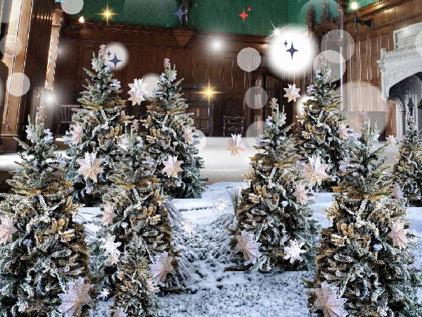House Admissions (Christmas)