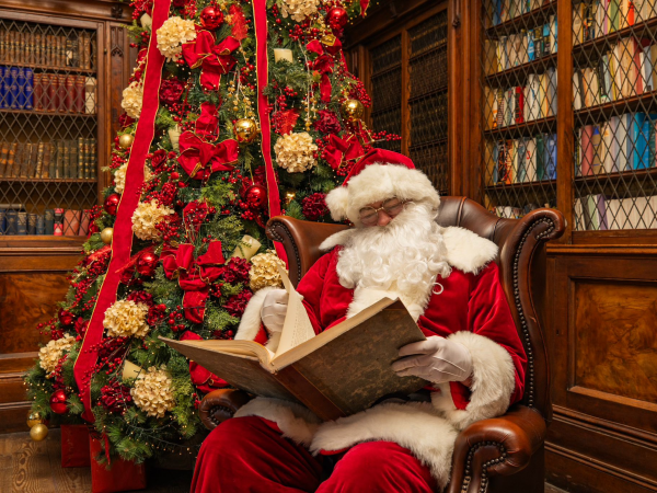 Wells Christmas Experience