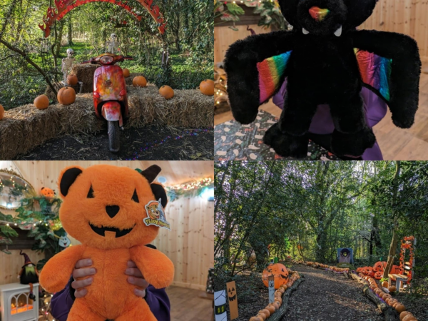 Pumpkin Woods with Bear Making