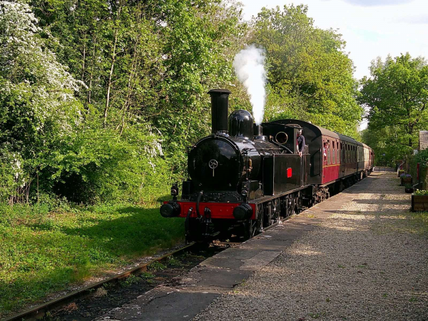 Steam Gala