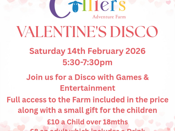 Valentines Disco