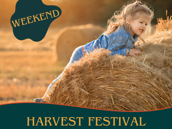 Tickets for Harvest Festival in Manchester