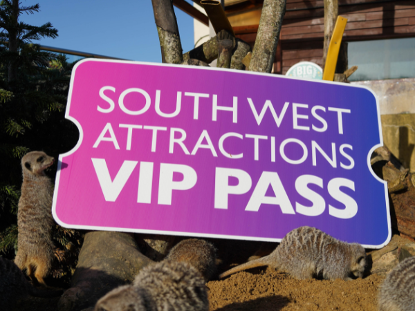 South West VIP Tickets