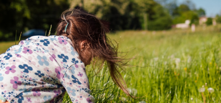 A child picks a dandelion from the grass.