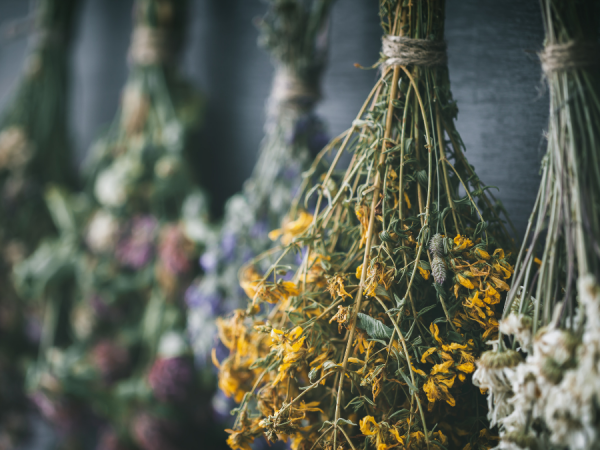 Beltane - Herbalist Workshop