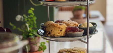 Festive Glasshouse Afternoon Tea