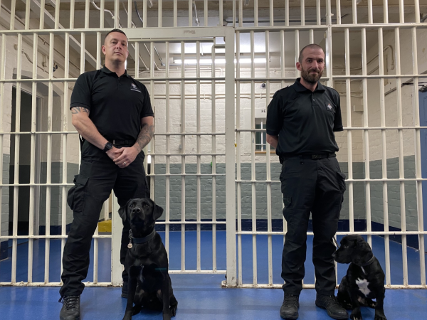 Superdogs: Super Training - 1st July 2026