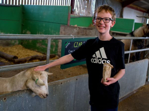 Junior Farm Keeper Experience