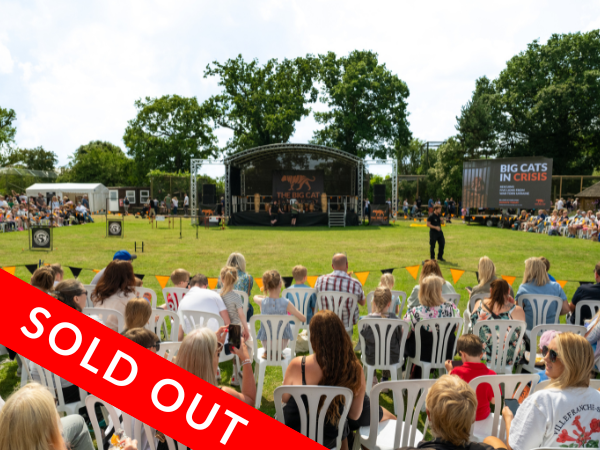 Big Cat Fest - Saturday 1st August