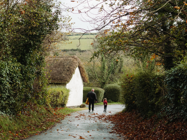 Wildlife Walk: Autumn