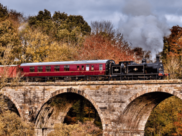 Bluey Visits! Train Tickets (Central Scotland)