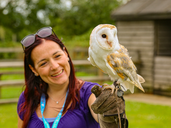 Half day Bird of Prey Experience