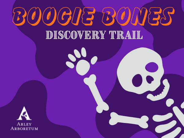 Boogie Bones Discovery Trail