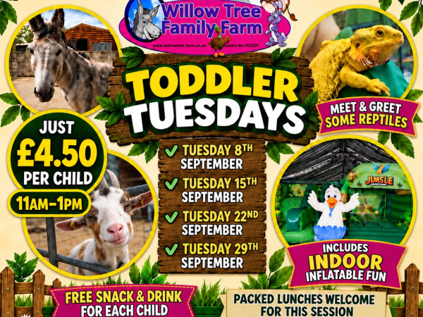 Toddler Tuesday