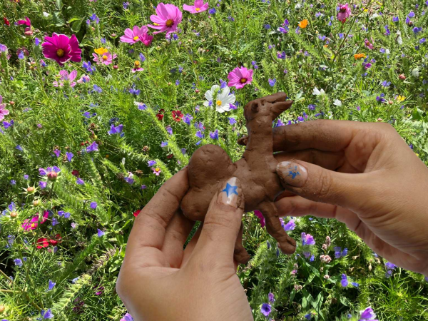 Seed sculptures in Leighton's garden
