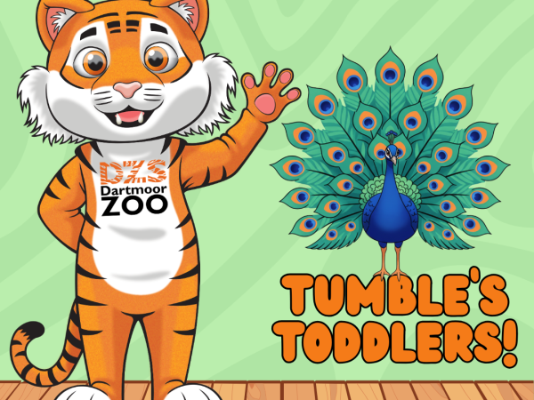 Tumble's Toddlers