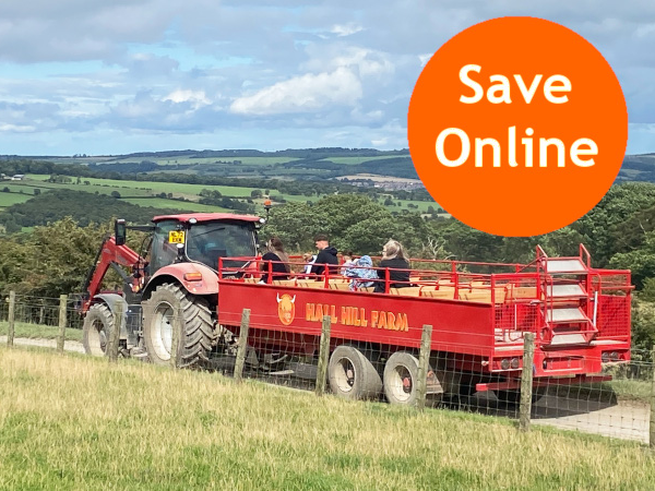 Summer Saver Tickets ........... 25th June - 1st September